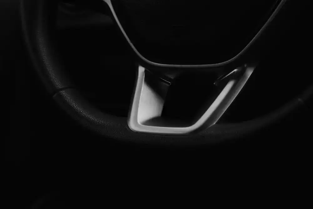 Detailing fine leather interior